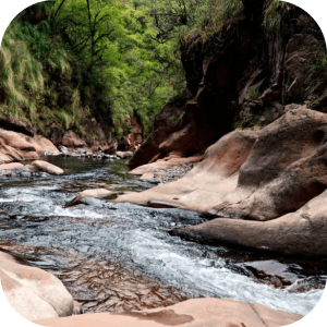 Río Yala