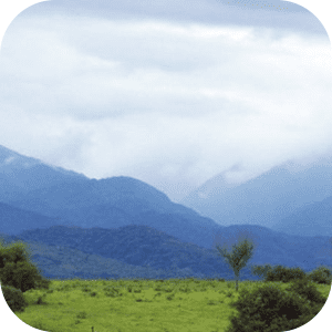 La Almona