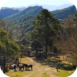 Cabalgatas