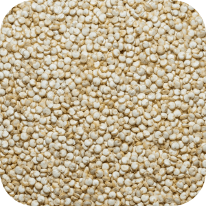 Quinoa