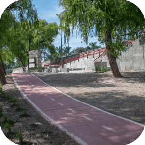 Bicisendas