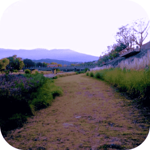 Naturaleza en la ciudad