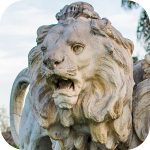 Los Leones