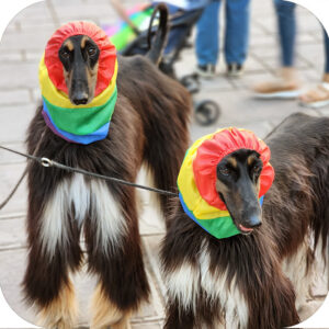 WhatsApp Image 2024-05-29 at 10.49.15