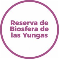 4 - Atractivos 360 (3).